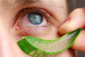 Can aloe vera help reduce wrinkles?